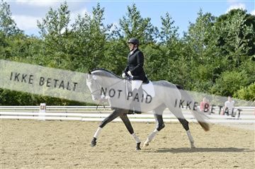 136195_abo_01__AB15937.JPG