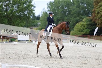181923_mtp_01_R62_6455.JPG