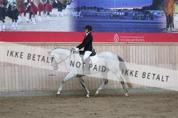 181887_mtp_02_R62_7438.JPG