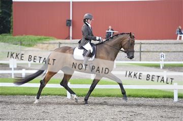 152531_sk_03__SK18680.JPG
