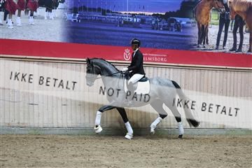 181887_mtp_05_R62_9598.JPG