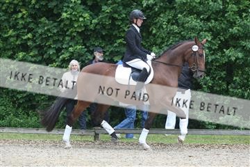 135518_ms_01_IMG_0868.JPG