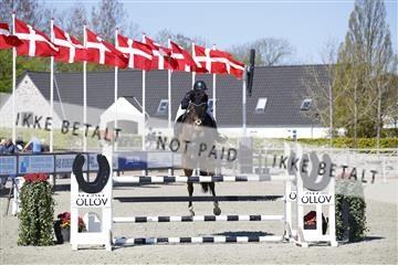 181332_kbb_01_6II3940.JPG