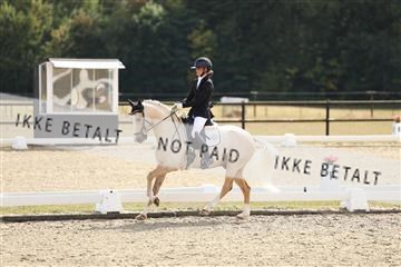 181894_mtp_02_R62_2067.JPG