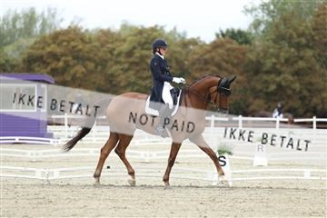181923_mtp_04_R62_8355.JPG