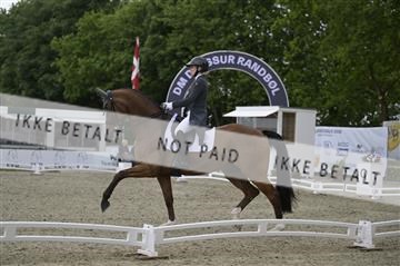 181449_kbb_03_Z092375.JPG
