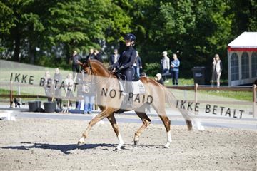 181449_kbb_01_6II8944.JPG
