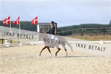 181894_mtp_04_R62_3894.JPG