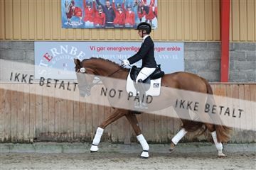 181867_mtp_02_R62_4546.JPG
