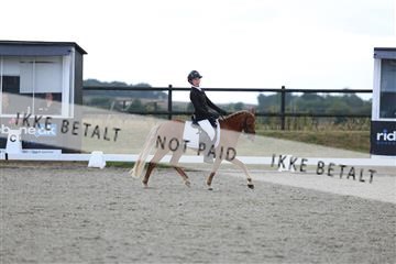 181894_mtp_05_R62_4289.JPG