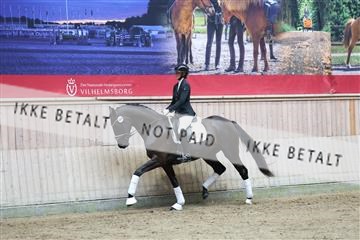 181887_mtp_04_R62_8595.JPG