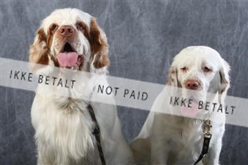 129608_le_ 01_0737.JPG