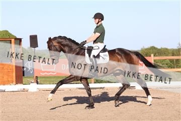 181449_bc_01R62_6449.JPG