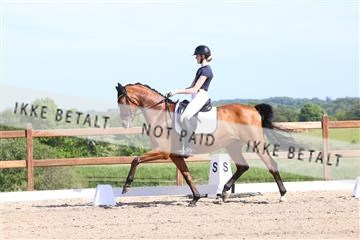 181449_bc_01R62_5913.JPG
