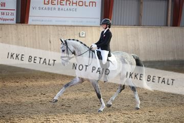173782_mtp_01_3M5A7810.JPG