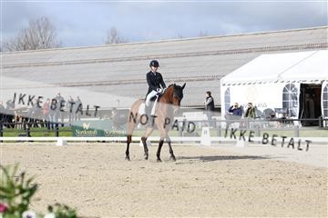179330_avh_01_5164.JPG