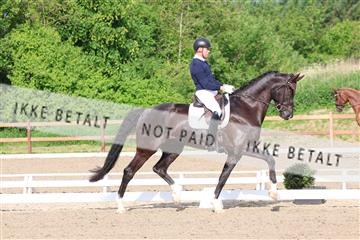 181449_bc_01R62_6588.JPG