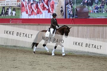 181887_mtp_02_R62_7912.JPG