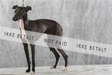 129608_le_ 02_0411.JPG