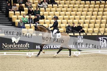178838_mtp_04_0E6A4272.JPG