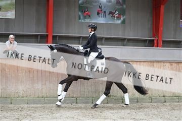 181867_mtp_02_R62_4887.JPG