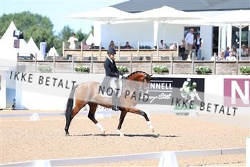 181726_mlm_01_R62_9328.JPG