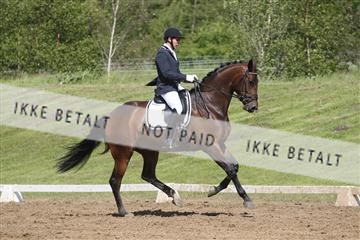 147698_nn_01_IMG_0029.JPG