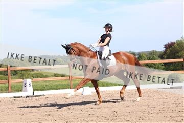 181449_bc_01R62_5955.JPG