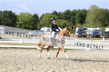 181894_mtp_05_R62_5021.JPG