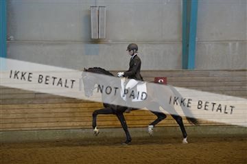144288_abo_01__AB21635.JPG