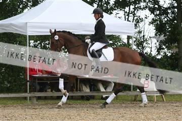 135518_ms_01_IMG_0893.JPG