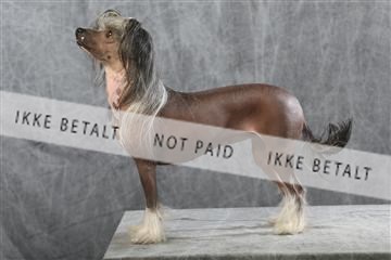 129608_le_ 01_0767.JPG