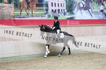 181887_mtp_04_R62_9046.JPG