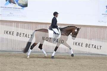 160111_nn_01__ESK2063.JPG