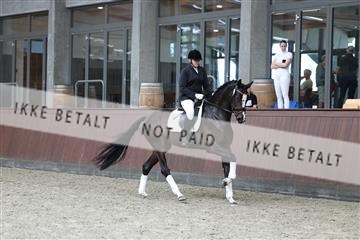 181852_mtp_05_R62_3129.JPG