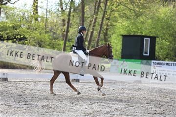 174512_mtp_01_3M5A7098.JPG