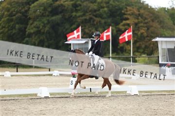 181894_mtp_03_R62_2863.JPG
