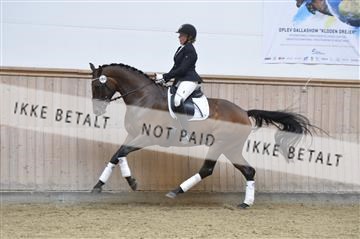 160111_nn_01__ESK1635.JPG