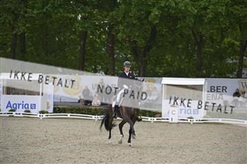 181449_kbb_04_Z093771.JPG