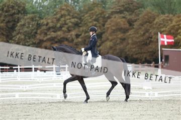 181923_mtp_04_R62_8911.JPG