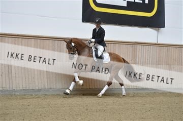 160111_nn_01__ESK1763.JPG