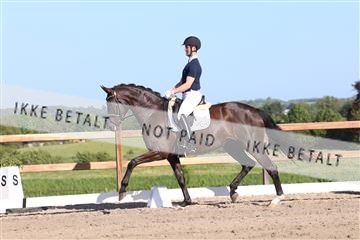 181449_bc_01R62_6242.JPG