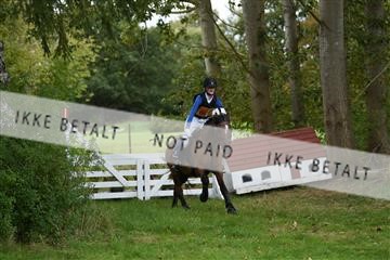 163904_mep_01_DSC_2195.JPG