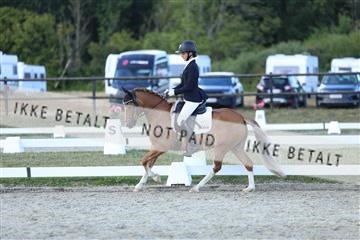 181894_mtp_05_R62_5408.JPG