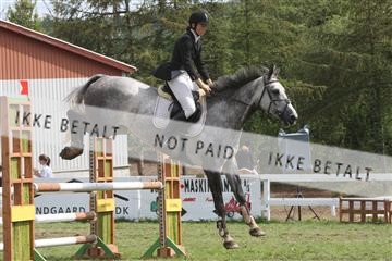 5925_ma_05_IMG_0875.JPG