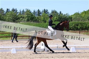 181449_bc_01R62_5583.JPG