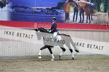181887_mtp_05_R62_9884.JPG