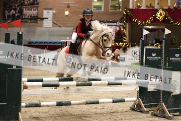 175934_avh_02_6925.JPG