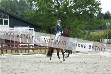 181923_mtp_01_R62_6889.JPG