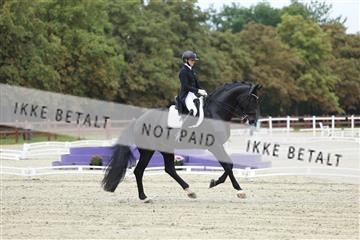 181923_mtp_03_R62_7669.JPG